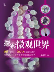 信任天气热的词语