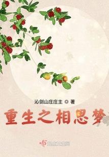 宜宾是啥天气情况