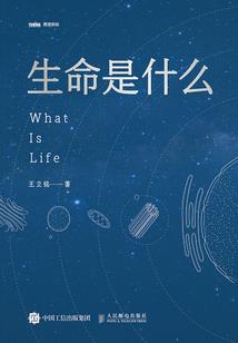 河边散步天气好怎么形容