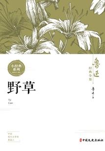 女生说天气真怪怎么回复