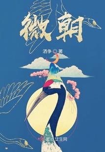 算卦大安的天气