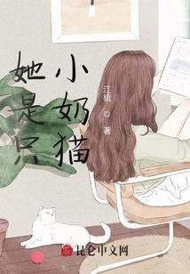武功天天气