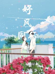 淄川区今天天气空气质量