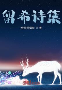 暑期天气情况统计图