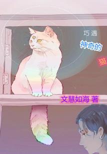 天气歌曲英文四年级上册