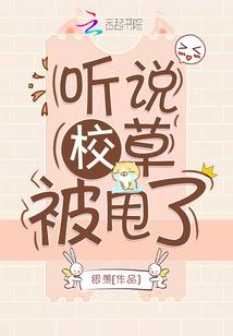 明天全国各地天气预报