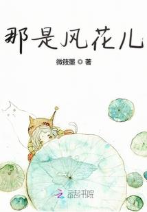 11月末新西兰天气