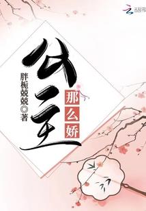 不同机场天气情况