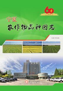天气和重力