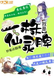 夷陵区未来15天天气