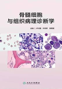 查石家庄近日天气情况