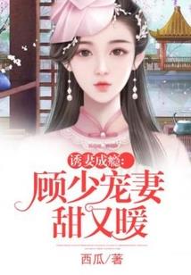 月天气预报栏