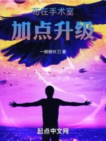 天气预报无广告插件