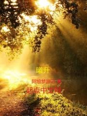 天气预报去哪查最准确
