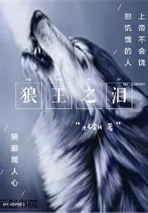 ios天气组件如何显示县的天气