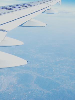 天气冷了狗