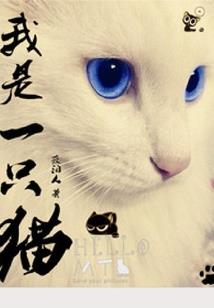 吐槽山东的天气情况