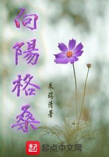 北海晚上的天气
