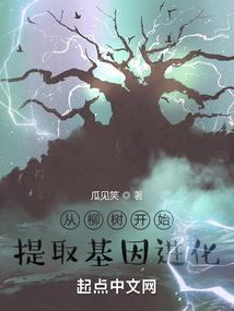 广东和河南的天气预报