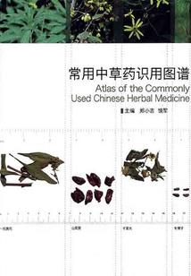 1.15号是什么天气
