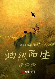 晚上遇到坏天气怎么办呢