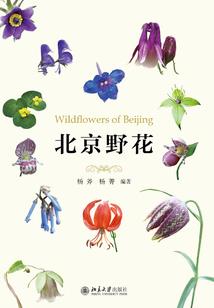 高温天气油箱气阻大吗为什么