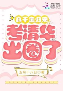 和成都的天气一样温暖