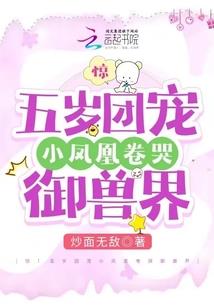 华节天气顶