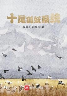 岩茶适合什么天气