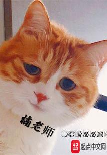 武夷山市端午节天气