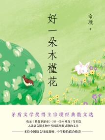 天气暴热的夏天怎么形容