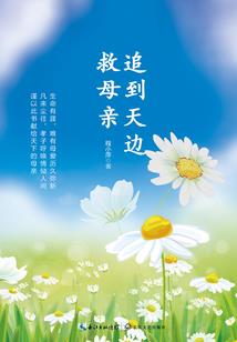 2023年元旦广西天气