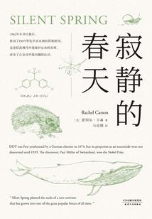 长沙年前天气如何变化