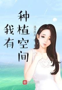 深圳二月的天气如何