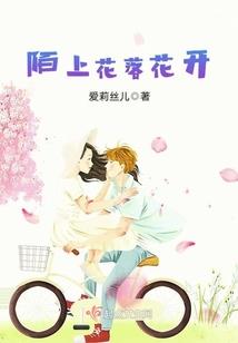 爬泰山什么天气好