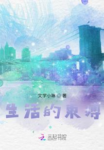 天气皎洁的流星