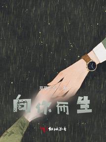 十一的山东什么天气