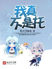 休斯顿全年天气