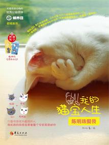 了查天气预报