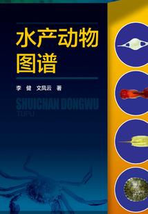 的天气表格怎么画图片