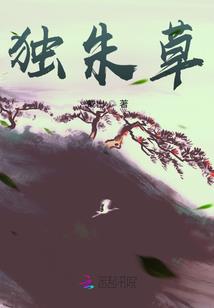 西安2月15日天气