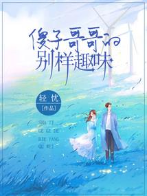 海南2025年元旦天气