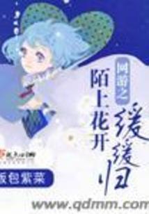 天气热和什么花茶好