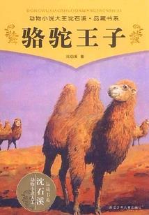 房山万科暴雨天气如何