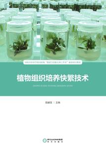 蟋蟀在什么天气出现