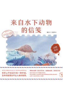 什么天气用飞蝇