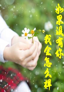 德国天气11月天气