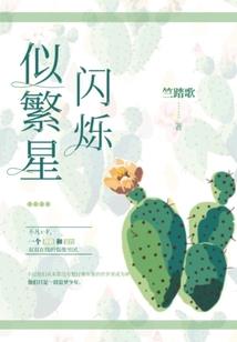 天气冷东海岸没人