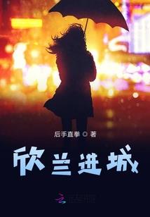 天气不好适合遛猫吗