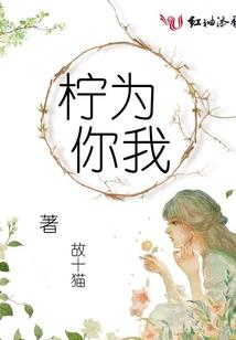 海口19年2月天气